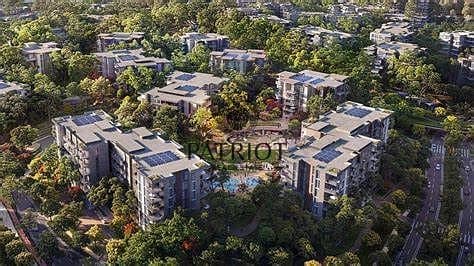 5 ghaf woods photo 6. jpg