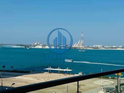 2 Bedroom Apartment for Rent in Al Reem Island, Abu Dhabi - IMG-20241115-WA0041. jpg