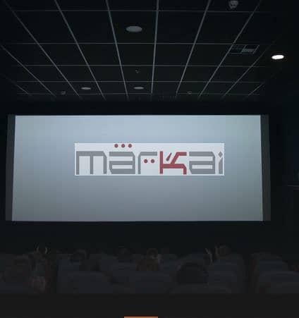 9 Capture8. JPG