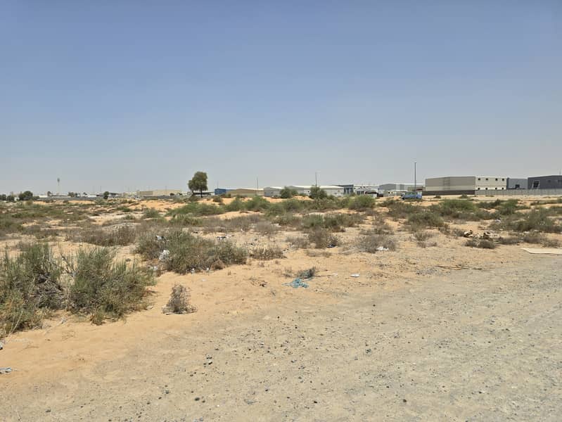 2 ٢٠٢٥٠٦١١_١١٣٠٥٦. jpg