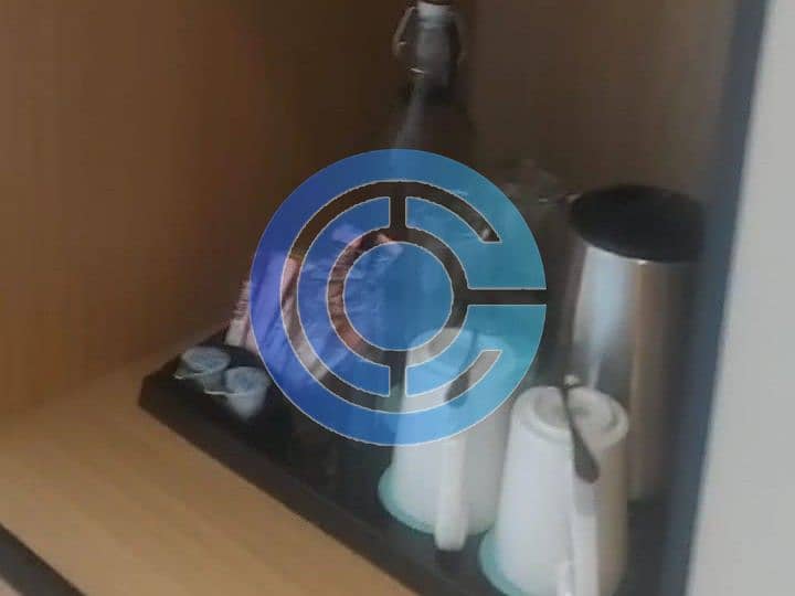 6 Изображение WhatsApp 2025-06-13 в 18.37. 47_084a53f8. jpg