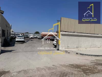 Warehouse for Sale in Industrial Area, Sharjah - IMG-20250323-WA0067. jpg