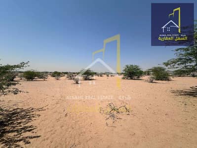 Industrial Land for Sale in Al Hamriyah, Sharjah - IMG-20250403-WA0261. jpg