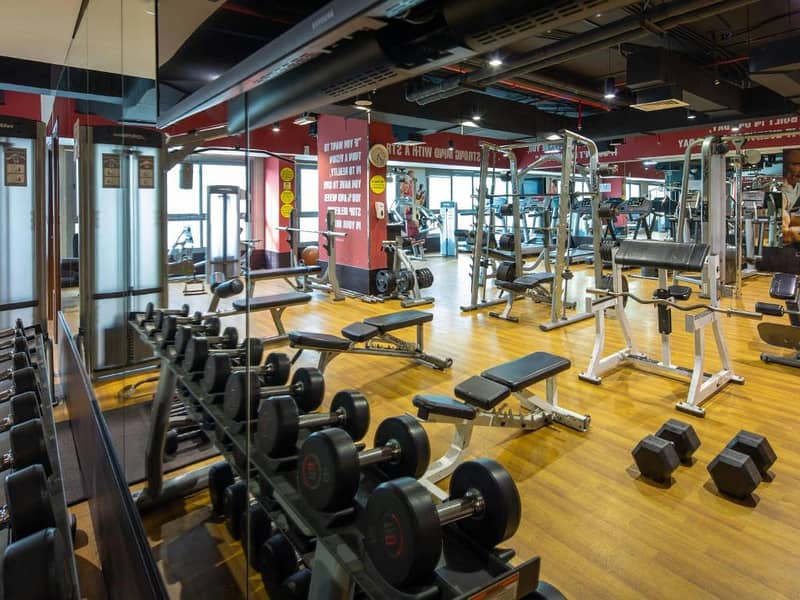 6 GYM. jpg