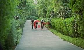 9 IMG-20241010-WA0007. jpg