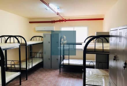 Labour Camp for Rent in Mussafah, Abu Dhabi - 7409778-d2f21o. jpg