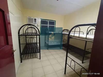 Labour Camp for Rent in Mussafah, Abu Dhabi - latest (43). jpg