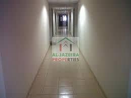 7 multiple_units_studio_1bhk_rent_in_international_city_in_clusters_34_000_8920116440107472974. jpg