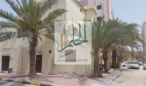 11 Bedroom Building for Sale in Al Nuaimiya, Ajman - WhatsApp Image 2025-06-12 at 01.15. 08_957ed45f. jpg