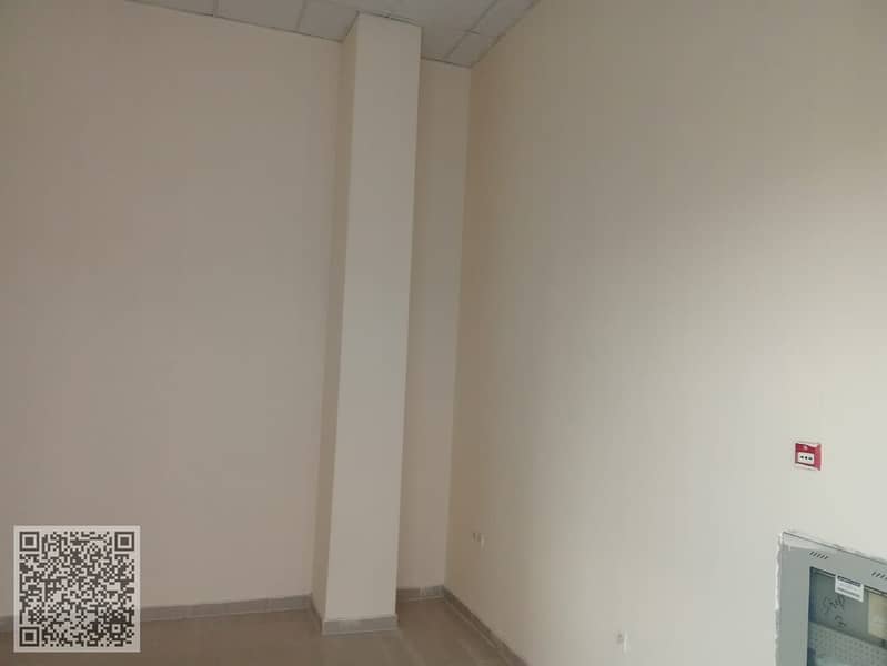 3 WhatsApp Image 2025-06-14 at 19.41. 35_38b184ef. jpg