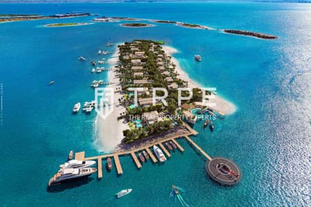 6 Bedroom Villa for Sale in The World Islands, Dubai - Private Beach | Island Living | Luxurious 6BHK