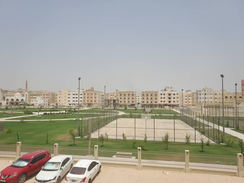3 20250614_114205. jpg