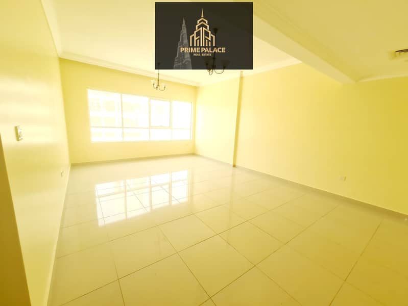 2 20240929_114300. jpg