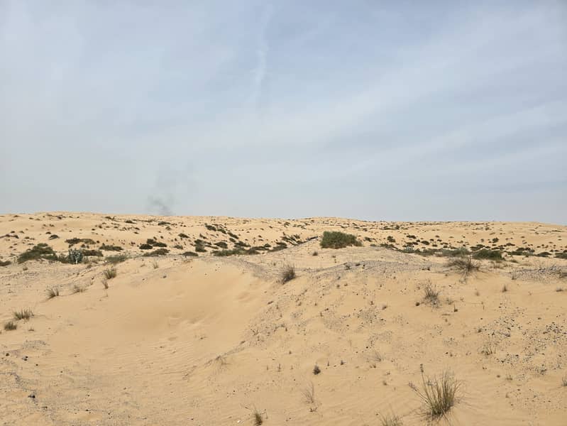 5 20250426_113619. jpg