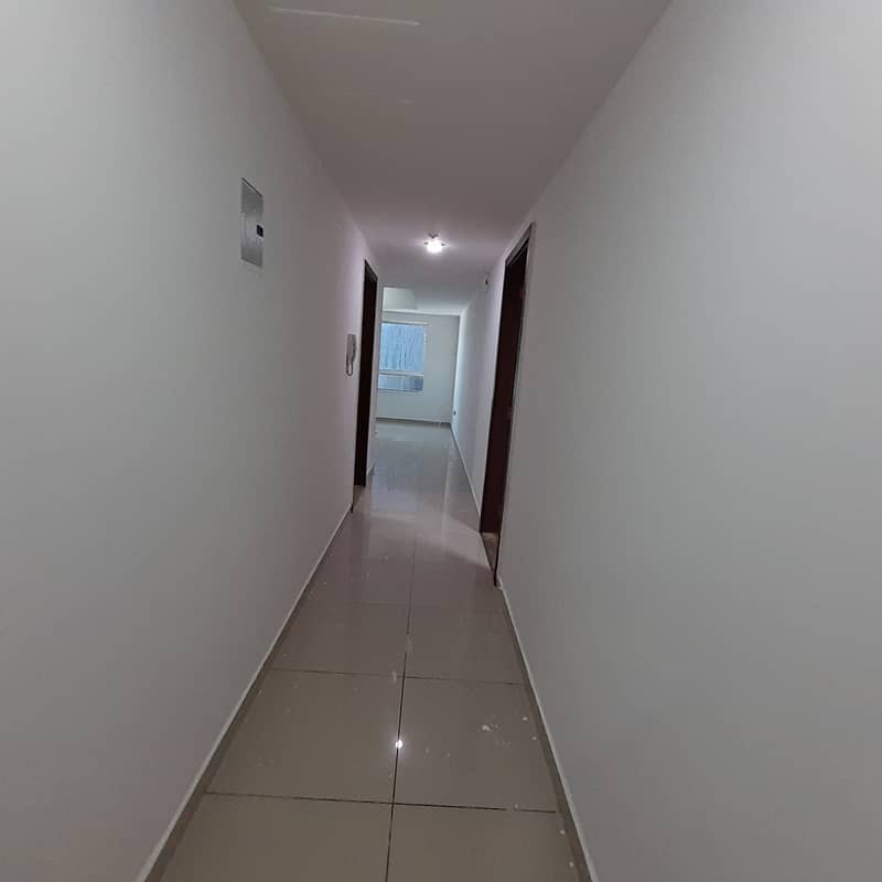 10 1000001169. jpg