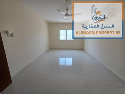 استوديو  للايجار في النخيل، عجمان - 50f33827-4f94-4cb7-9c09-27ea76b69e97. jpg