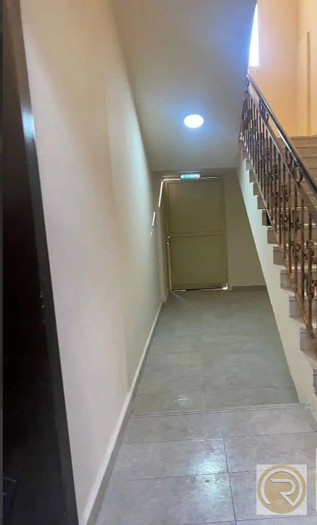 5 نباعه7. jpg