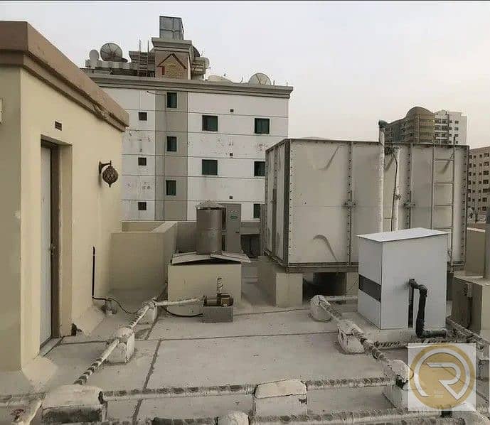 6 نباعه 6. jpg