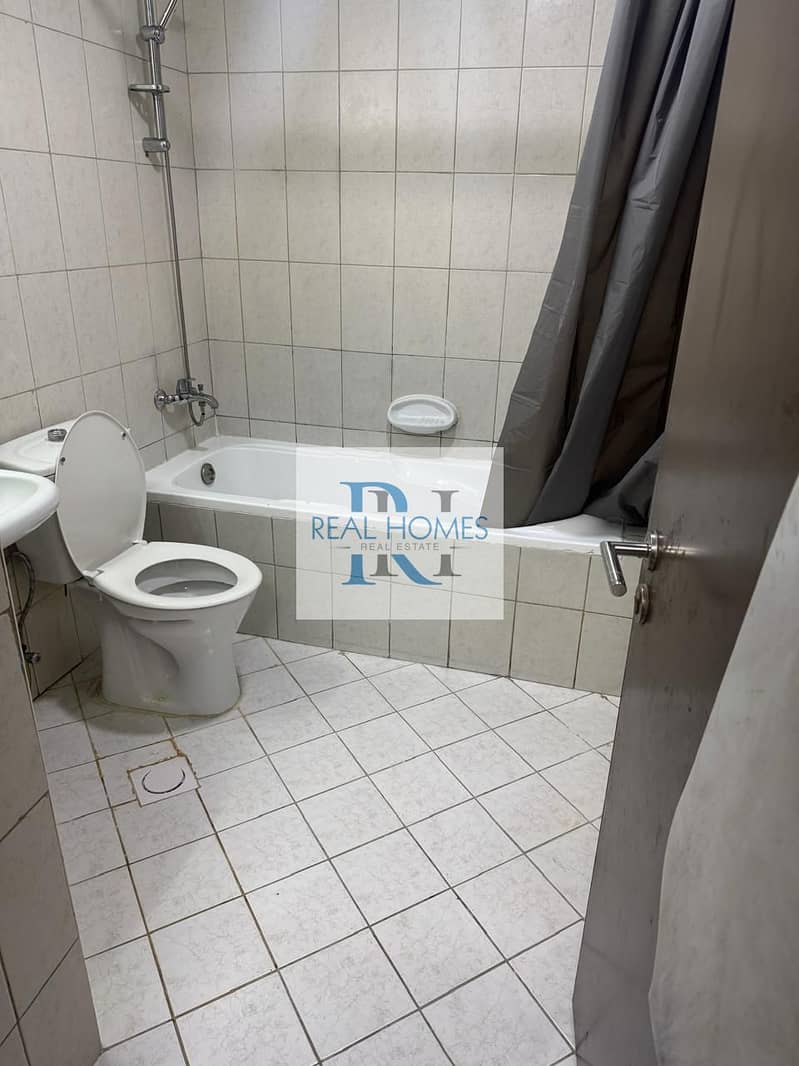 11 T11. jpg
