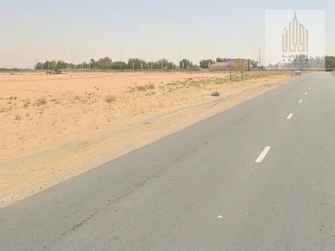 5 1. jpg