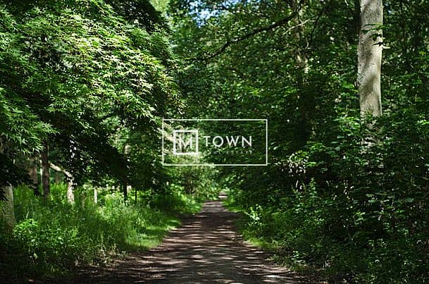 19 pngtree-pathway-through-woodland-hiking-walking-meandering-path-photo-image_3000347. jpg