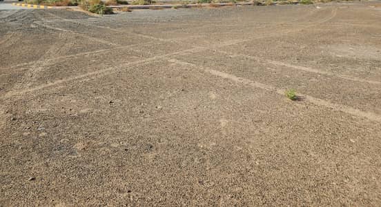 Mixed Use Land for Sale in Al Nakhil, Ajman - ارض خالية  5. jpg