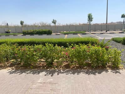 Shop for Rent in International City, Dubai - WhatsApp Image 2025-06-16 at 2.15. 46 AM. jpeg