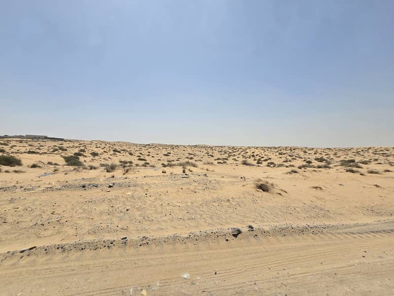 3 ٢٠٢٥٠٦١١_١٠٥٨٠٦. jpg