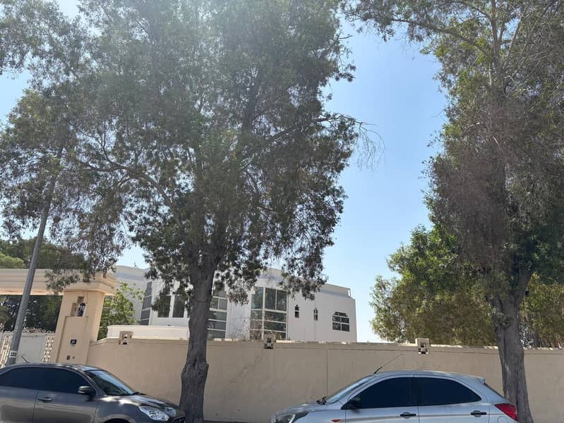 2 صور الطوار2. jpg