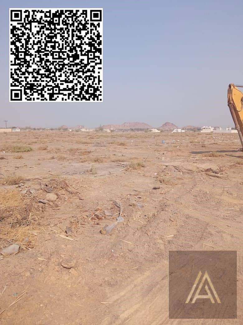 3 WhatsApp Image 2025-06-16 at 3.20. 57 PM (2). jpeg
