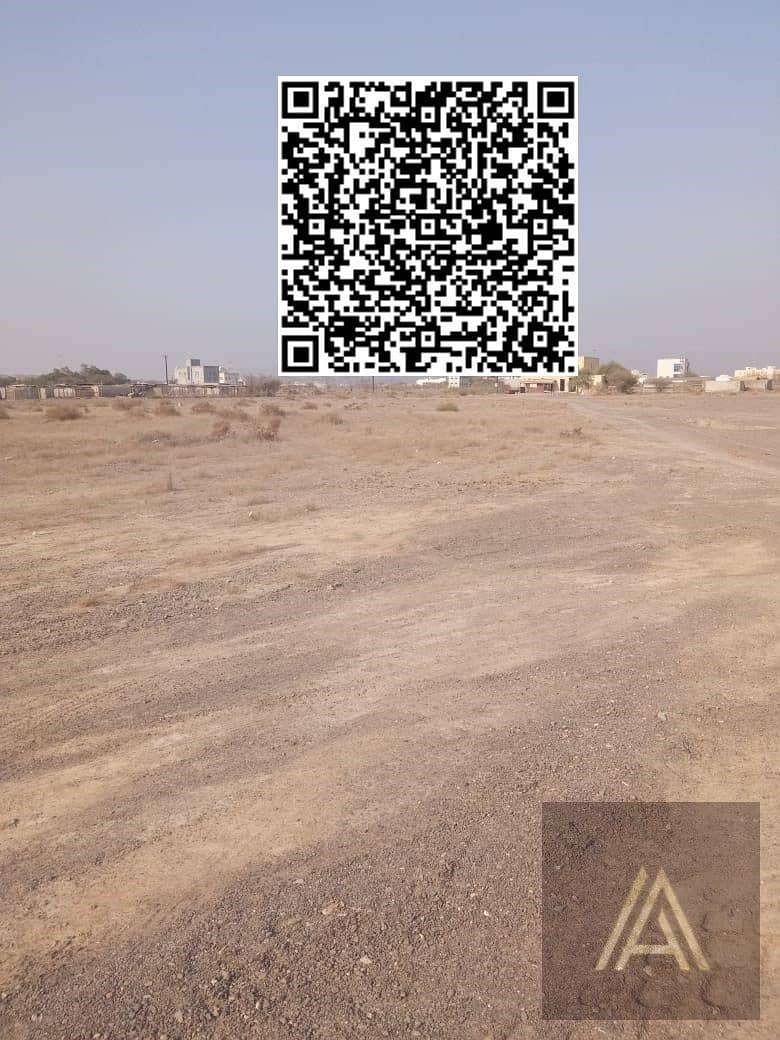 4 WhatsApp Image 2025-06-16 at 3.20. 57 PM. jpeg