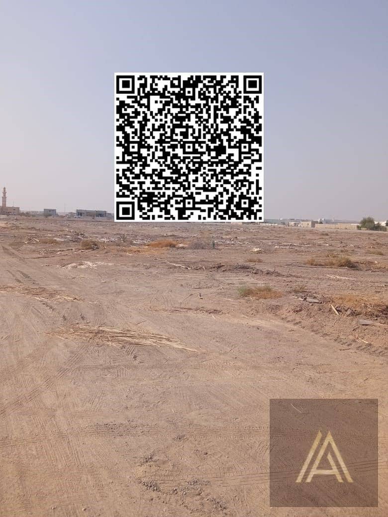 6 WhatsApp Image 2025-06-16 at 3.20. 58 PM. jpeg