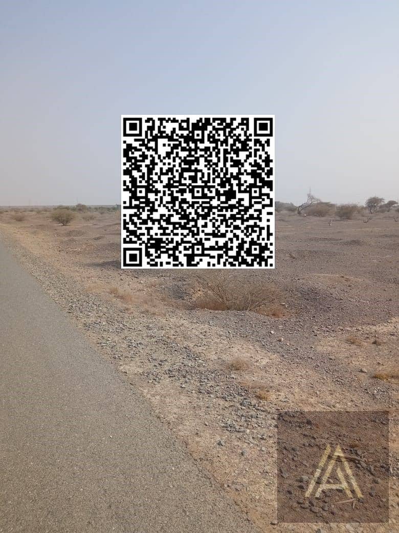 2 WhatsApp Image 2025-06-16 at 4.10. 04 PM. jpeg