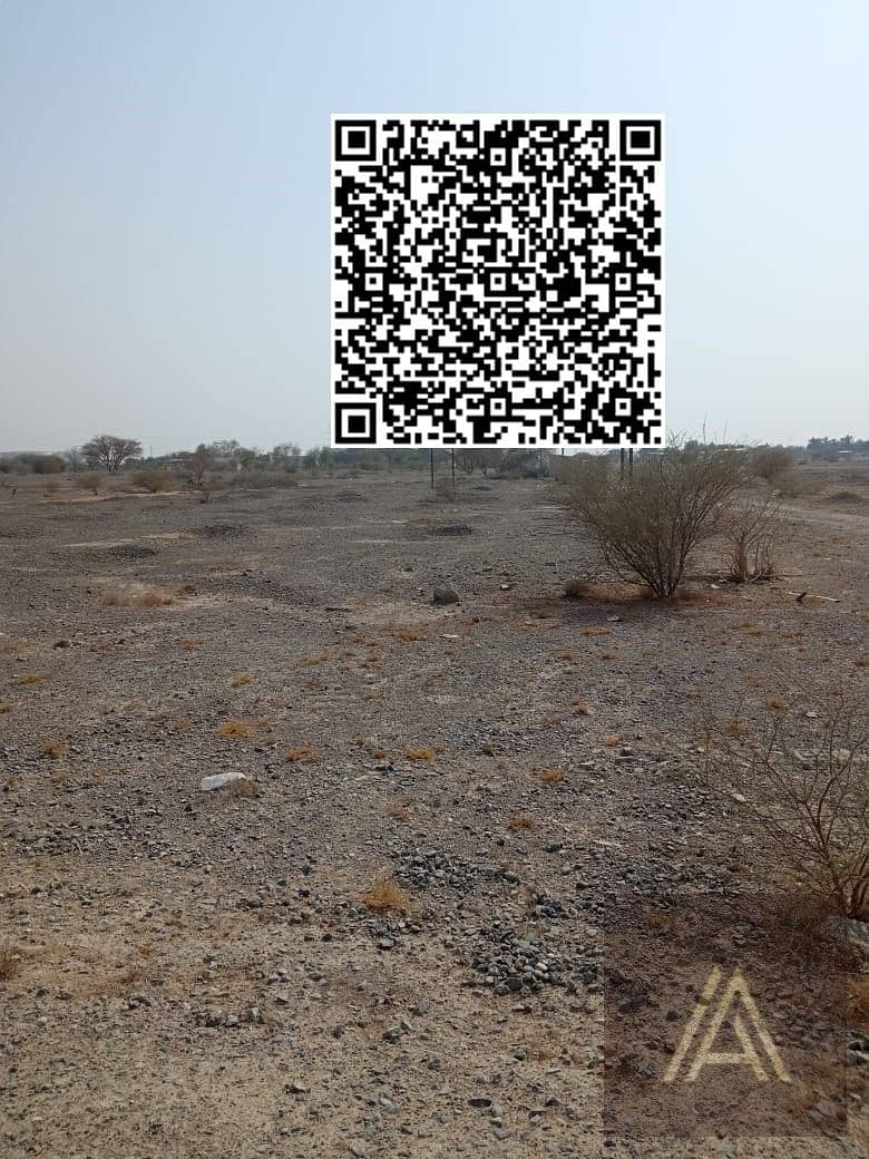 3 WhatsApp Image 2025-06-16 at 4.10. 05 PM (1). jpeg