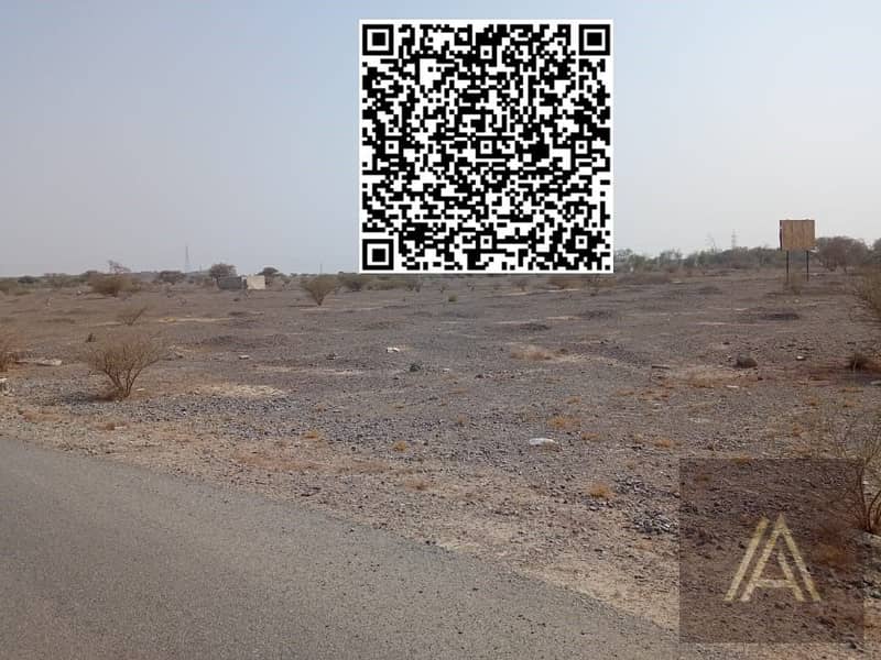 4 WhatsApp Image 2025-06-16 at 4.10. 05 PM. jpeg