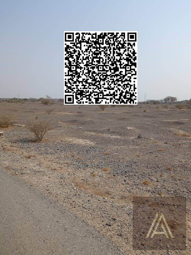 5 WhatsApp Image 2025-06-16 at 4.10. 06 PM (1). jpeg