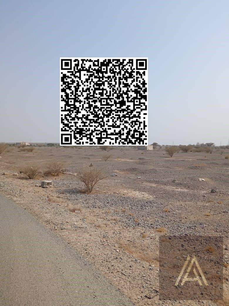 6 WhatsApp Image 2025-06-16 at 4.10. 06 PM. jpeg