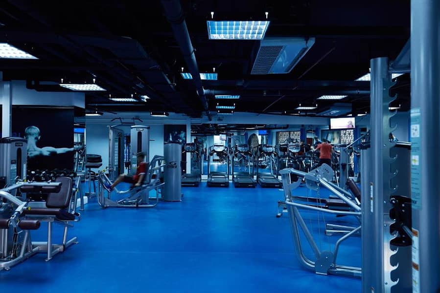 8 Gym. jpg