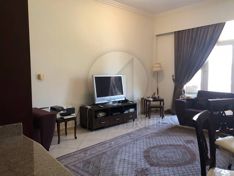 Huge Fully Furnished Apt. Courtyard Huge Fully Furnished Apt. Courtyard