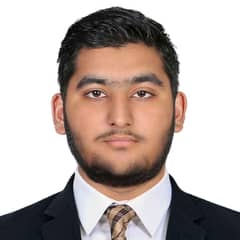 Muhammad Ameer Hamza