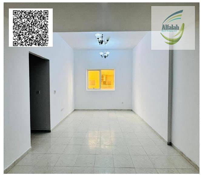 2 WhatsApp Image 2025-02-08 at 22.20. 16 (2). jpeg