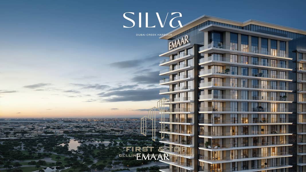 5 SILVA_DCH_IMAGE02. jpg