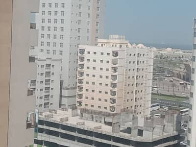 2 Cпальни Апартаменты в аренду в Аль Касимия, Шарджа - Квартира в Аль Касимия, 2 cпальни, 31999 AED - 11659575