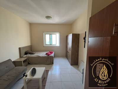 استوديو  للايجار في الراشدية، عجمان - IMG-20250617-WA0269. jpg