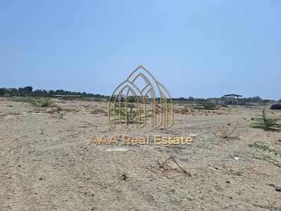 ارض سكنية  للبيع في كلباء، الشارقة - IMG-20250616-WA0031. jpg