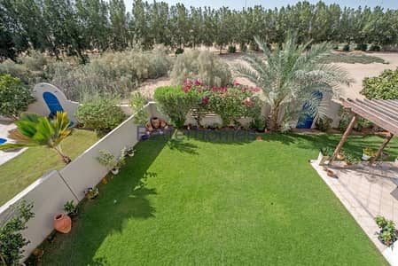 Well Maintained |Cordoba |Big Plot Well Maintained |Cordoba |Big Plot
