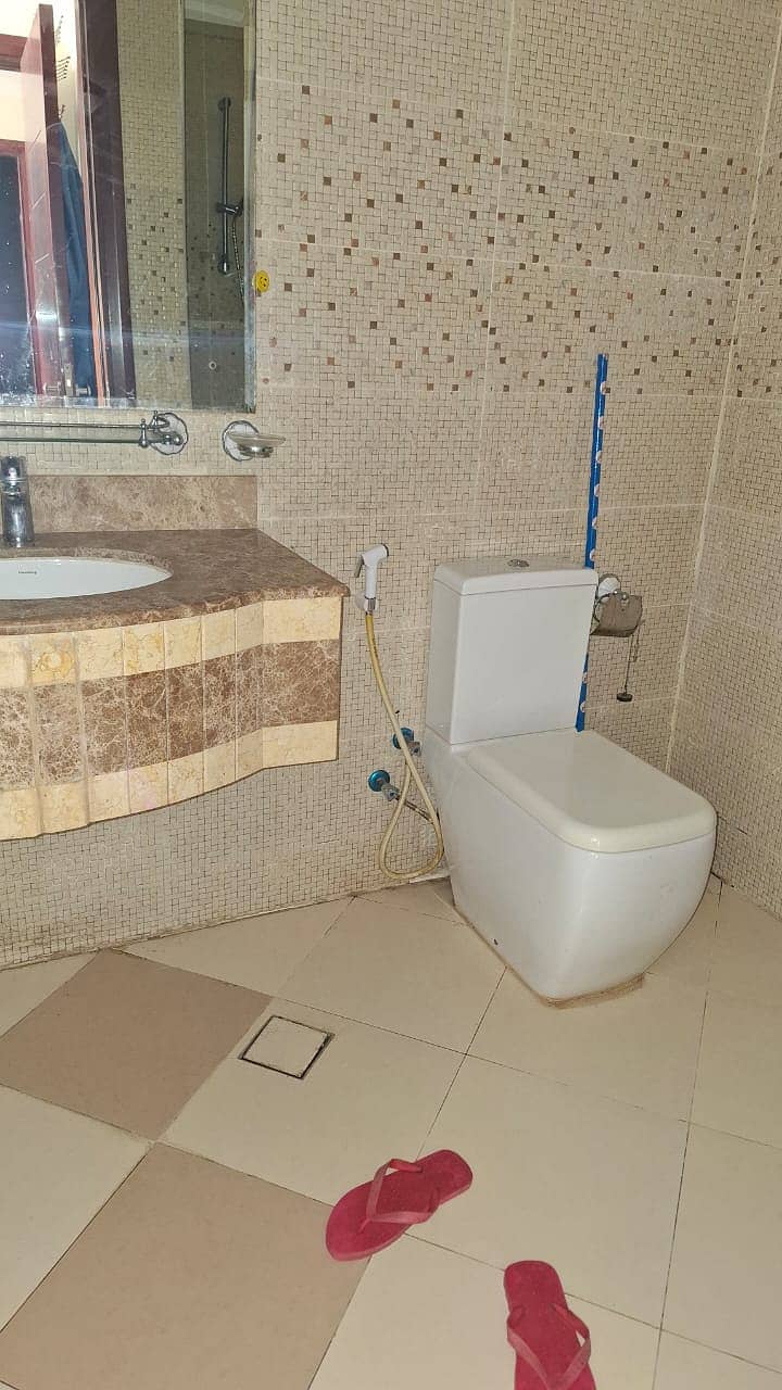 5 ARV 6. jpg