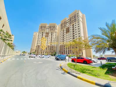 3 Bedroom Flat for Rent in Mussafah, Abu Dhabi - IMG_5544. jpg