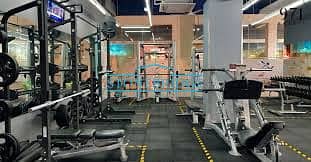 13 gym. jpeg