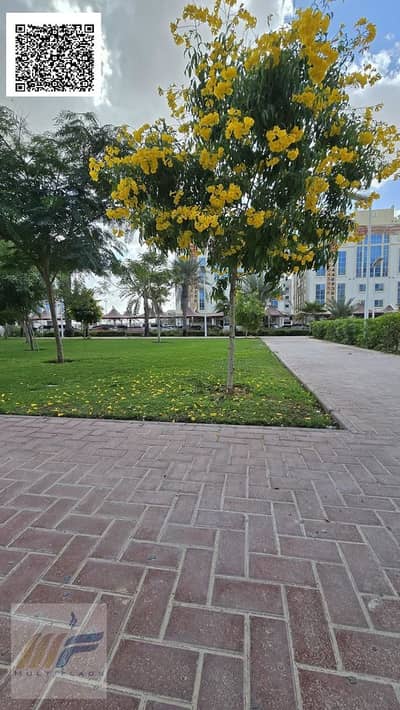 Own a luxury studio apartment for AED 2,900 per month, with a separate kitchen and balcony in Al Ameera Village.